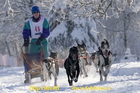 Decinsky sneznik 05 - 117.jpg